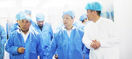 首页-BB贝博艾弗森公司官网