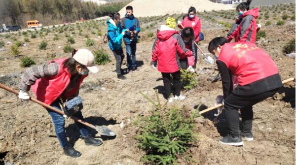 首页-BB贝博艾弗森公司官网