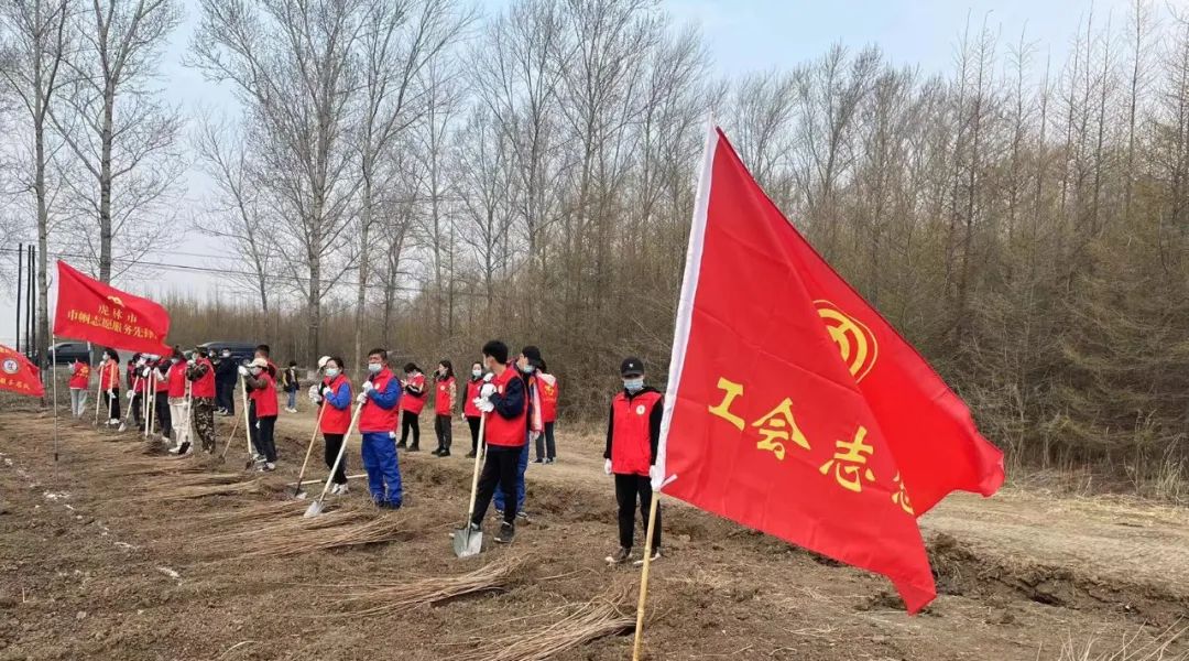 首页-BB贝博艾弗森公司官网