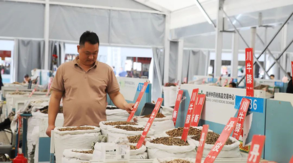 首页-BB贝博艾弗森公司官网