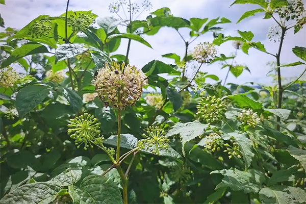 首页-BB贝博艾弗森公司官网